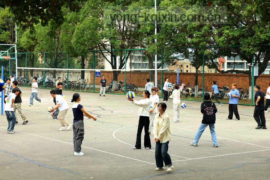 多块球场俯视拼接，不同草色与线条形成并置构图